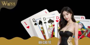 Trò Chơi Bài Cào Tố Đấu Trí Nhanh Nhất Hiện Nay Tại Sòng W88