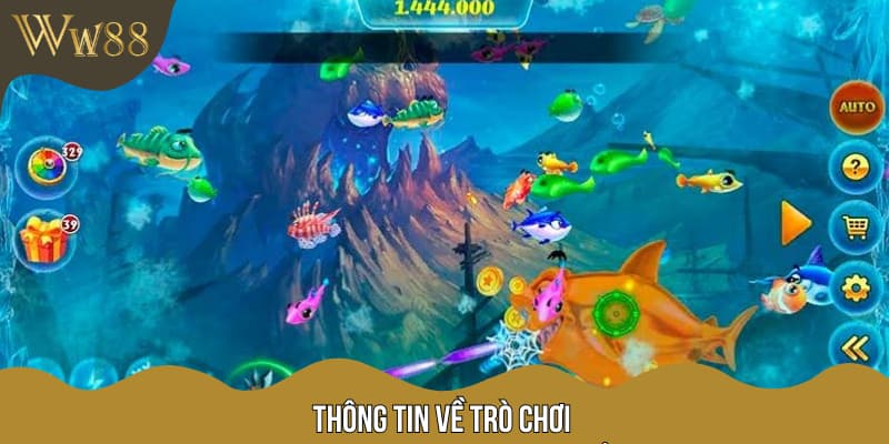 Thông tin về trò chơi