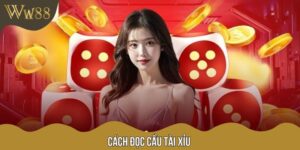 Cách Đọc Cầu Tài Xỉu – Hướng Dẫn Chi Tiết Và Mẹo Hay Tại W88