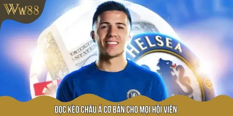 Đọc kèo châu Á cơ bản cho mọi hội viên