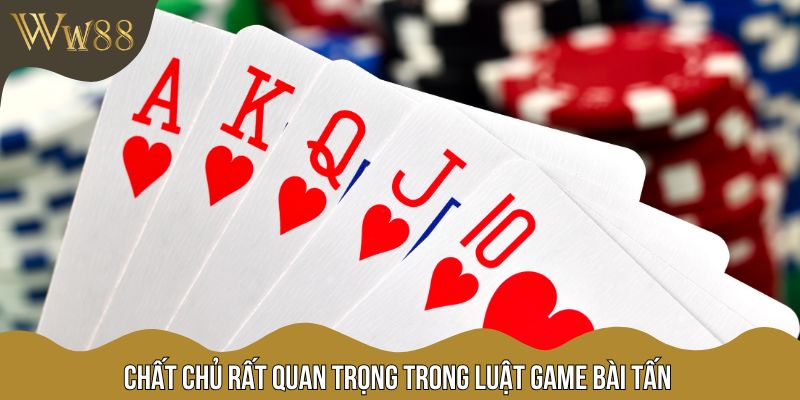 Chất chủ rất quan trọng trong luật game bài Tấn