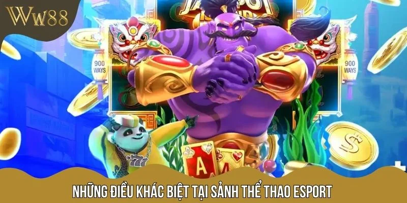 Những điều khác biệt tại sảnh thể thao esport