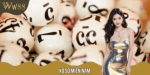 Những Điều Cần Biết Về Xổ Số Miền Nam Tại W88 Cho Người Chơi