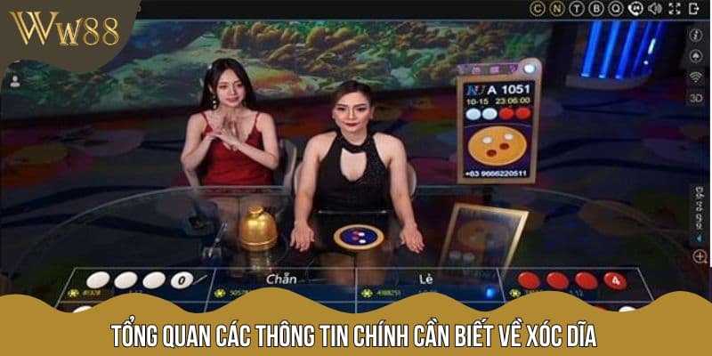 Tổng quan các thông tin chính cần biết về xóc dĩa