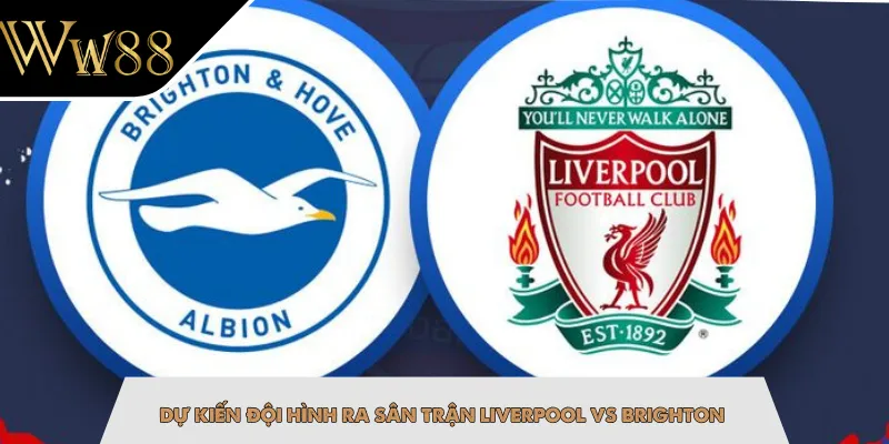 Dự kiến đội hình ra sân trận Liverpool vs Brighton