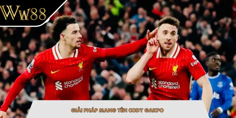 Giải pháp mang tên Cody Gakpo