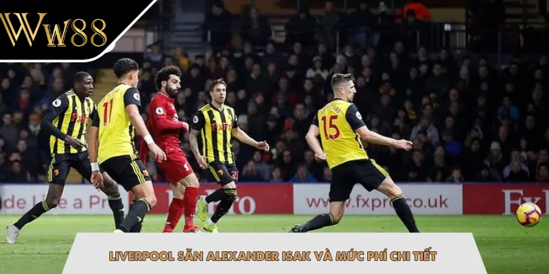 Liverpool săn Alexander Isak và mức phí chi tiết