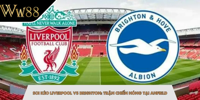 Soi Kèo Liverpool Vs Brighton: Trận Chiến Nóng Tại Anfield