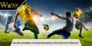 Soi Kèo Rangers Vs Panathinaikos: Ván Cược Hot Hôm Nay