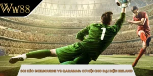 Soi Kèo Shelbourne Vs Qarabag: Cơ Hội Cho Đại Diện Ireland