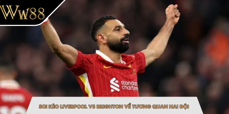Soi kèo Liverpool vs Brighton về tương quan hai đội