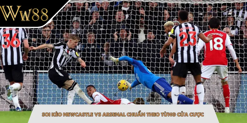 Soi kèo Newcastle vs Arsenal chuẩn theo từng cửa cược
