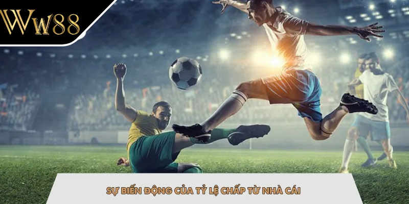 Sự biến động của tỷ lệ chấp từ nhà cái