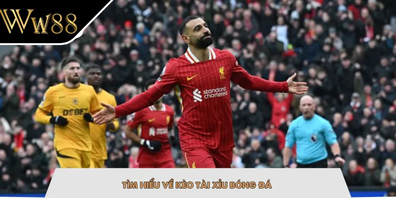 Tìm hiểu về kèo tài xỉu bóng đá