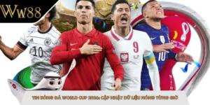 Tin Bóng Đá World Cup 2026: Cập Nhật Dữ Liệu Nóng Từng Giờ