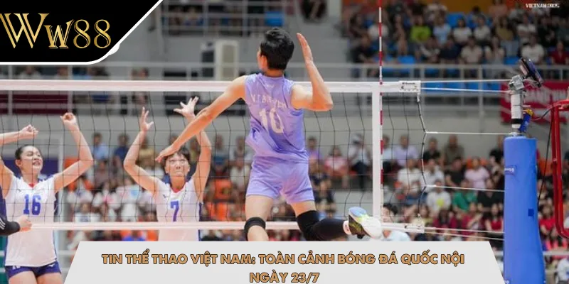 Tin Thể Thao Việt Nam: Toàn Cảnh Bóng Đá Quốc Nội Ngày 23/7