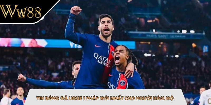Tin bóng đá Ligue 1 Pháp mới nhất cho người hâm mộ