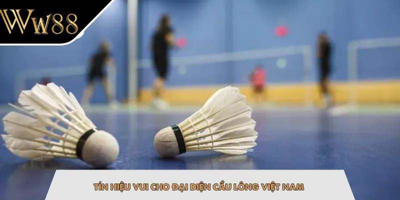 Tín hiệu vui cho đại diện cầu lông Việt Nam