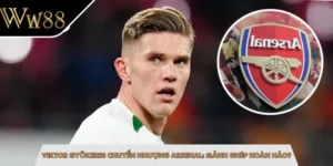 Viktor Gyökeres Chuyển Nhượng Arsenal: Mảnh Ghép Hoàn Hảo?
