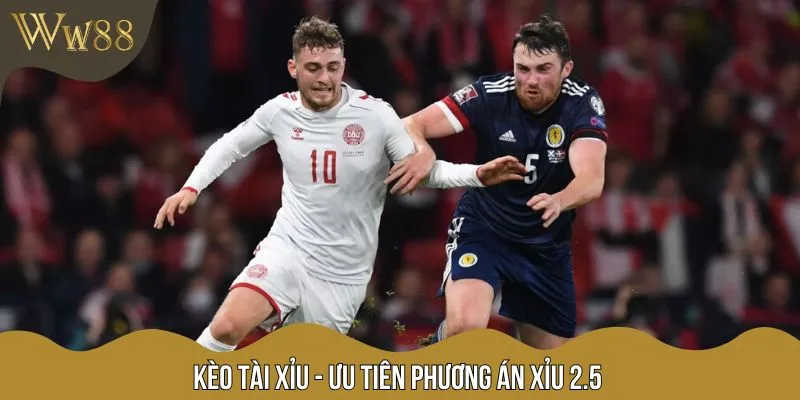 Kèo tài xỉu trận Đan Mạch vs Scotland dự đoán cửa Xỉu không vượt quá 2.5